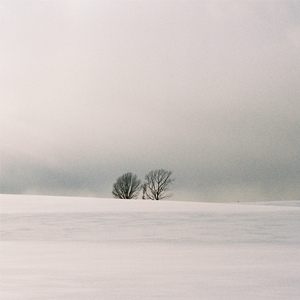 精性岳腚淫骚乳
